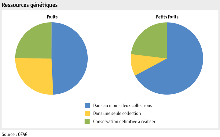 Zoom: ab15_pflanz_produktion_grafik_ressourcen_obst_beeren_f.png