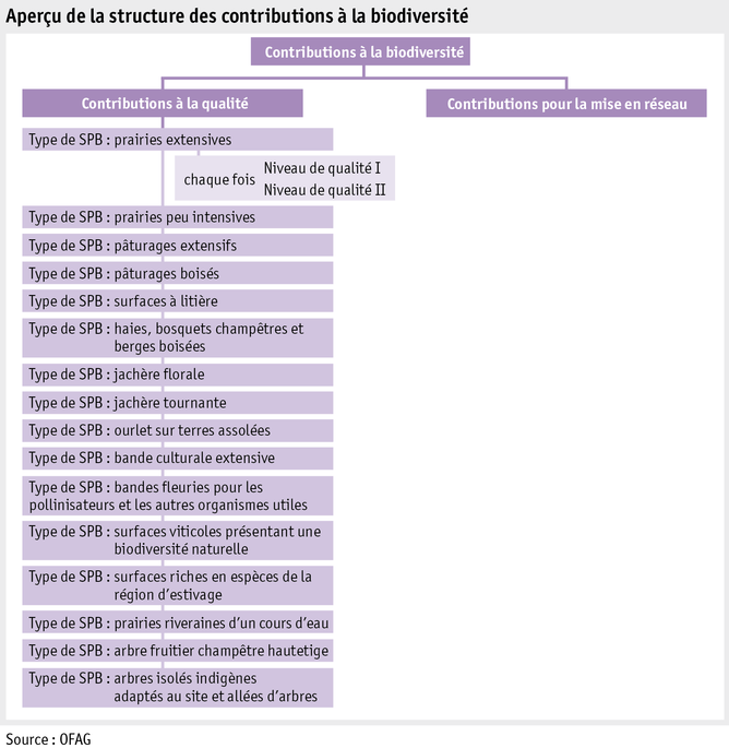 Zoom: ab15_grafik_biodiversitaetsbeitraege_systematik_f.png