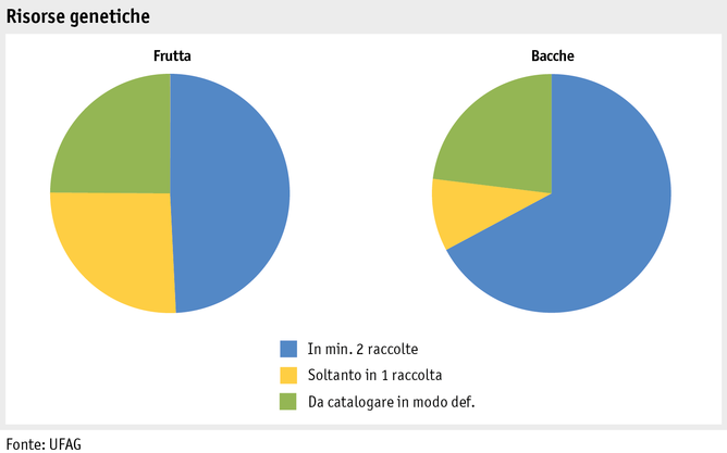 Zoom: ab15_pflanz_produktion_grafik_ressourcen_obst_beeren_i.png